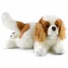 Cavalier King Charles couché 27cmL