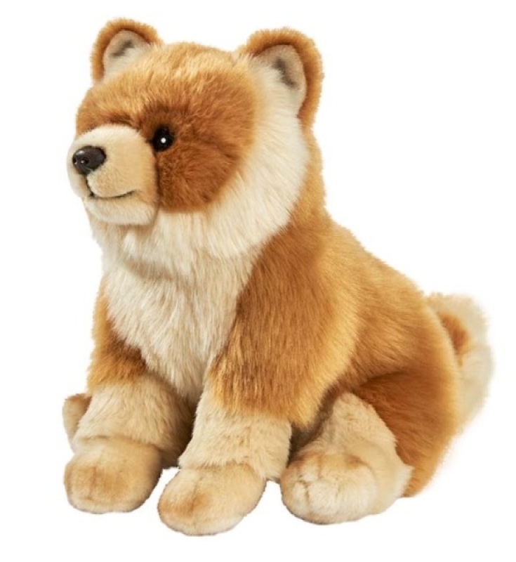 Peluche Chien loulou De Pomeranie (Anima)
